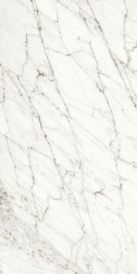Керамогранит White Fun Levigato+Rettificato 60x120 универсальный полированный