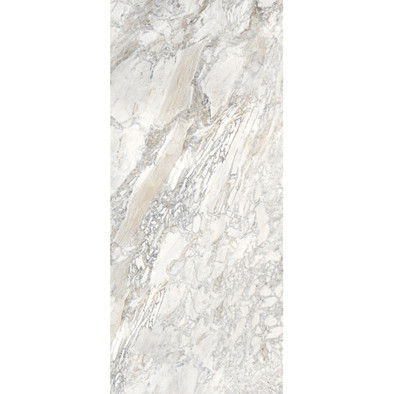 Керамогранит new Domino Ash - B Elegance 120х280 Staro Slab Polished полированный универсальная плитка С0005883 фото Керамогранит new Domino Ash - B Elegance 120х280 Staro Slab Polished полированный универсальная плитка С0005883
