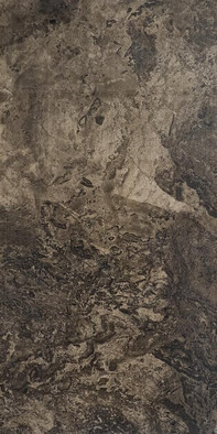 Керамогранит Fossil Brown Rectified Lappato 60х120 Seranit лаппатированный (полуполированный) универсальная плитка