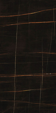 Керамогранит Ultra Marmi Sahara Noir Lev Silk 120x120 Ariostea полированный универсальный UM6SK120585