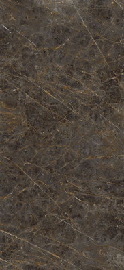 Керамогранит AeGol6278Lp 120х278 La Faenza Monoceram Aesthetica лаппатированный (полуполированный) универсальный