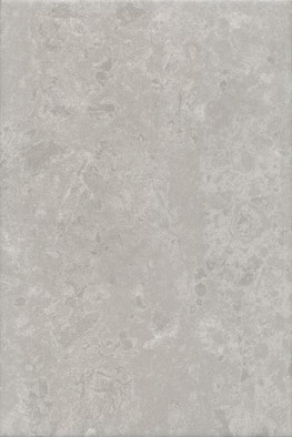 Настенная плитка 8348 Ферони Серый матовый 20х30 Kerama Marazzi керамическая