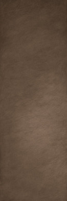 Керамогранит DL.ST.GL.NT 3000х1000х3.5 Arch Skin Design Metal матовый универсальный фото Керамогранит DL.ST.GL.NT 3000х1000х3.5 Arch Skin Design Metal матовый универсальный