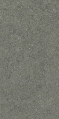 Керамогранит Forum Stone Iron 60x120 Italon матовый универсальная плитка 610010004169