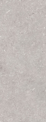 Настенная плитка Coral Acero 45x120 Porcelanosa матовая керамическая 100330286 фото Настенная плитка Coral Acero 45x120 Porcelanosa матовая керамическая 100330286