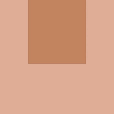 Декор Italian Landscape Firenze B 20.5x20.5 Fioranese Ceramica керамогранит матовый ILFI20B