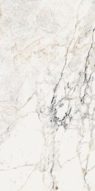 Керамогранит AeOro6278Lp 120х278 La Faenza Monoceram Aesthetica лаппатированный (полуполированный) универсальный