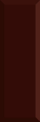 Настенная плитка Monocolor Biselado Brillo Marron 10x30 глянцевая керамическая