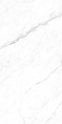 Керамогранит Coralina White 60x120 Cp Creanza carving универсальная плитка CP4003-A