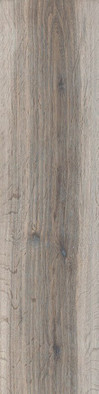 Керамогранит Barkwood Ash 20х120 Sant'Agostino матовый напольный CSABA7AS20