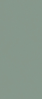 Керамогранит CLF.AVA.LMSG.NT 2800х1200х6 Arch Skin Color матовый универсальный