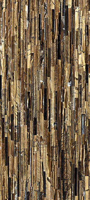 Керамогранит 0502013 The Wild Spirit Tiger Gold Lux 59.6x119.2 Roberto Cavalli полированный универсальная плитка