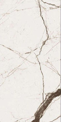 Керамогранит Wonicy White Absolut Gres 60х120 полированный универсальный