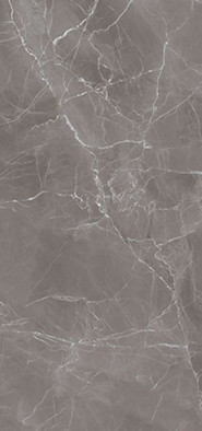 Керамогранит FT FTS 3155 60х120 Simpolo Prozzo Rejoice структурированный универсальная плитка MPL-061879 фото Керамогранит FT FTS 3155 60х120 Simpolo Prozzo Rejoice структурированный универсальная плитка MPL-061879