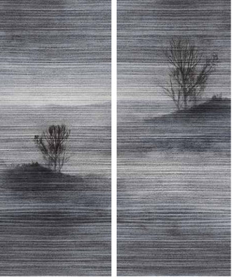 Керамогранит Zebrino Book Match and Dry Effect 120х300 Favania матовый универсальный