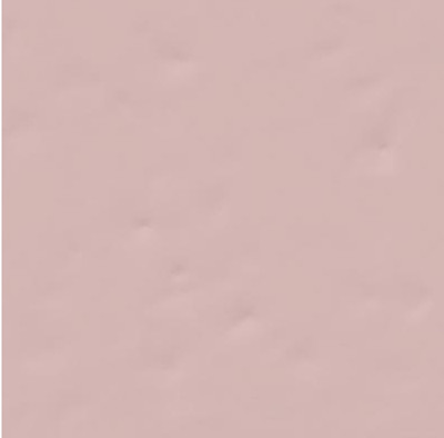 Настенная плитка Paola Rosa-B 20x20 глянцевая керамическая