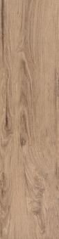 Керамогранит Del Conca Fi Foreste D italia Noce Fi9 20х80 матовый фото Керамогранит Del Conca Fi Foreste D italia Noce Fi9 20х80 матовый