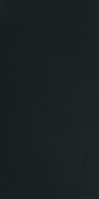 Керамогранит Black and White Black High-gloss 6 mm 120x240 Ret (751186) Floor Gres полированный универсальный