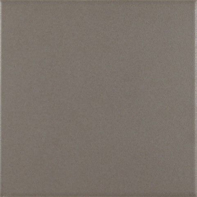 Напольная плитка Antigua Base Gris 20x20 матовая керамическая