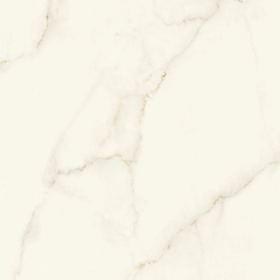 Керамогранит Marvel Calacatta Apuano120x120 Silk Atlas Concorde Italy патинированный универсальный AFVJ фото Керамогранит Marvel Calacatta Apuano120x120 Silk Atlas Concorde Italy патинированный универсальный AFVJ