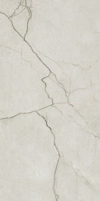 Керамогранит Amboise Lux Pol Rect 60x120 универсальный полированный фото Керамогранит Amboise Lux Pol Rect 60x120 универсальный полированный