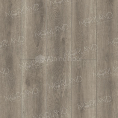 SPC ламинат Norland 2001-6 Templet NeoWood SPC Pro 33 класс 1220х196х8 мм (каменно-полимерный) с фаской фото SPC ламинат Norland 2001-6 Templet NeoWood SPC Pro 33 класс 1220х196х8 мм (каменно-полимерный) с фаской