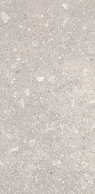 Настенная плитка Aragorn Light Grys 30х60 матовая керамическая