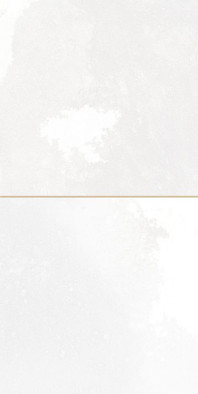 Настенная плитка FS Tradition Square White 20x40 см Peronda 30896 глянцевая керамическая