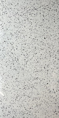 Керамогранит Terazzo Poiish Silver 60х120 Armano полированный универсальный 00000040252