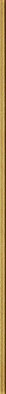 Бордюр L-Glass Gold-59,8x2,3 глянцевый керамический
