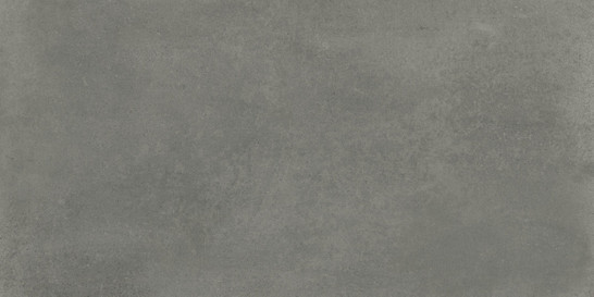 Керамогранит Evo Grey 60x120 Mat Fanal матовый универсальный 120B007 фото Керамогранит Evo Grey 60x120 Mat Fanal матовый универсальный 120B007
