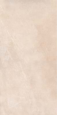 Керамогранит PRO 0271M Orlean Matt 60х120 ProGRES Ceramica матовый универсальная плитка