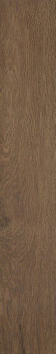 Керамогранит Roots Tobacco Matt R9 20x120 Fap Ceramiche матовый универсальный 36921 фото Керамогранит Roots Tobacco Matt R9 20x120 Fap Ceramiche матовый универсальный 36921