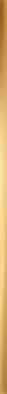 Бордюр Steel Gold 4 74,8x1,5 LS-01-261-0748-0015-1-014 Tubadzin глянцевый керамический 5903238061612