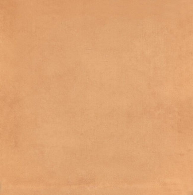 Настенная плитка 5238 Капри Оранжевый 20х20 Kerama Marazzi глянцевая керамическая
