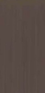 Керамогранит TC Coffee Brown Mat Asia Pacific 60х120 матовый универсальный