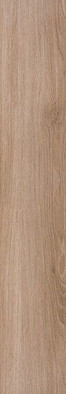 Керамогранит At. Siena Mate Rect 20x120 универсальный матовый