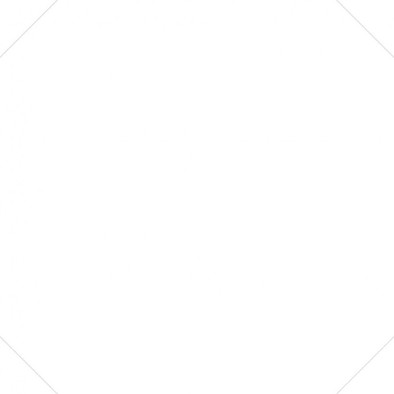 Керамогранит Octo Element Blanco 25x25 универсальный матовый