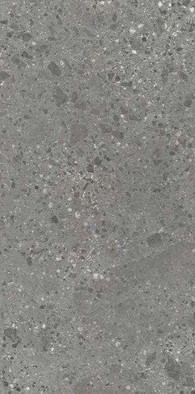 Керамогранит Grigio Milano Soft 60x120 Ariostea Fragmenta матовый универсальный P612619 фото Керамогранит Grigio Milano Soft 60x120 Ariostea Fragmenta матовый универсальный P612619
