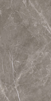 Керамогранит Fior Di Bosca Noce 60x120 Prissmacer матовый универсальная плитка