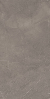 Керамогранит Splash Grey Серый 60х120 Сатинированный Карвинг Laparet универсальная плитка х9999293174