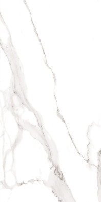 Керамогранит Jewell White 60x120 Polished Staro Modern полированный универсальная плитка С0006111 фото Керамогранит Jewell White 60x120 Polished Staro Modern полированный универсальная плитка С0006111