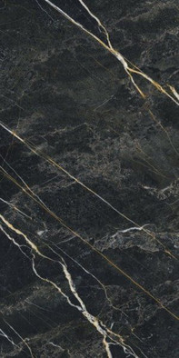 Керамогранит Forest 60x120 универсальный полированный