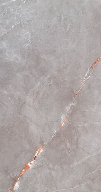 Керамогранит grey Pol 239,8x119,8 универсальный полированный