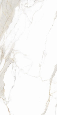 Керамогранит Praline Gold EP Imperial 60x120 полированный универсальный