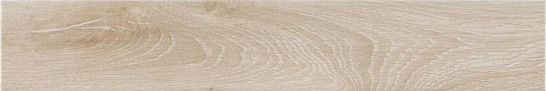 Керамогранит Ingalls Arce 10х60 Prissmacer матовый напольный 78802512