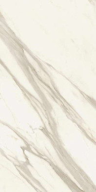 Керамогранит Marvel Meraviglia Calacatta Bernini 60x120 Atlas Concorde Italy матовый универсальный AJIS фото Керамогранит Marvel Meraviglia Calacatta Bernini 60x120 Atlas Concorde Italy матовый универсальный AJIS