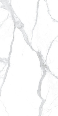 Керамогранит Statuario Altissimo Lucidato 5+ 162х324 Laminam I Naturali Pietre полированный универсальная плитка LAMFF00866 фото Керамогранит Statuario Altissimo Lucidato 5+ 162х324 Laminam I Naturali Pietre полированный универсальная плитка LAMFF00866