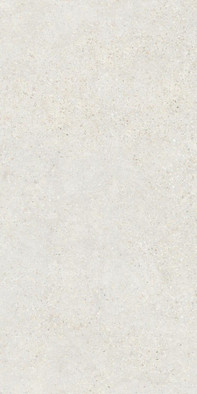 Керамогранит Mold Mist R 60x120 Refin Ceramiche матовый универсальный NC94