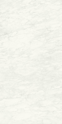 Керамогранит Carrara Delicato Soft Naturale 120х240 Nexion Marble матовый универсальная плитка F14F24G1GR0